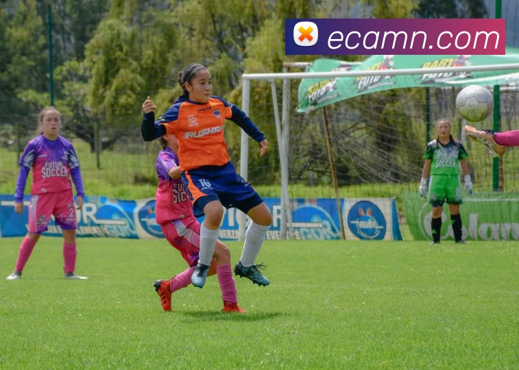 u8体育官网服务体系